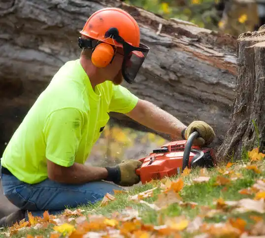 tree services Superior